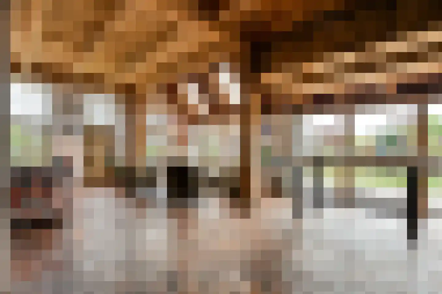 Verzetstraat 120 Vriezenveen thumbnail 23