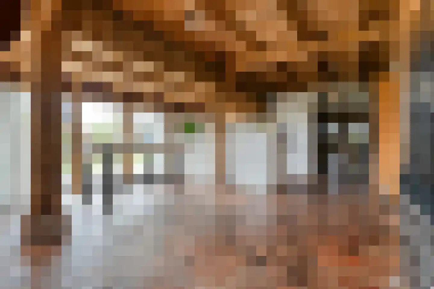 Verzetstraat 120 Vriezenveen thumbnail 29