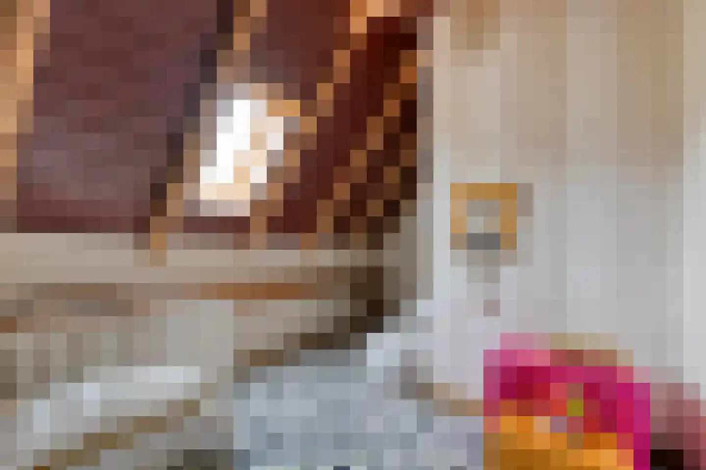 Verzetstraat 120 Vriezenveen thumbnail 43