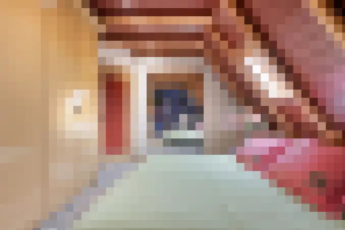 Verzetstraat 120 Vriezenveen thumbnail 47