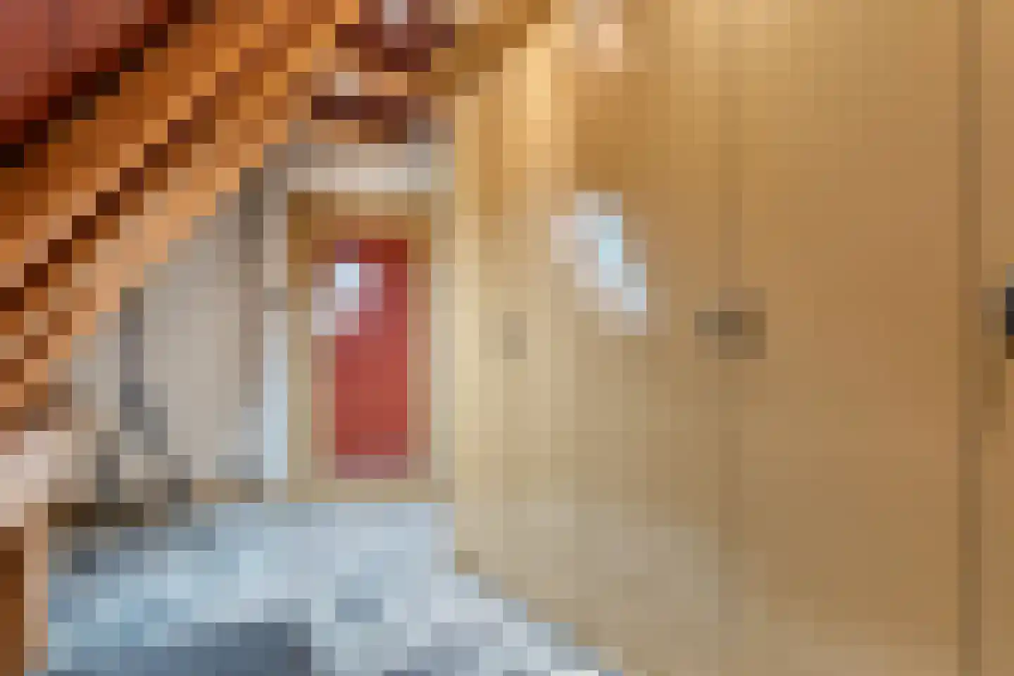 Verzetstraat 120 Vriezenveen thumbnail 49