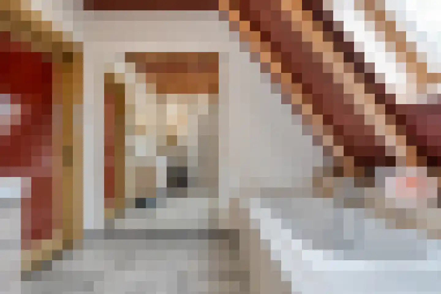 Verzetstraat 120 Vriezenveen thumbnail 51