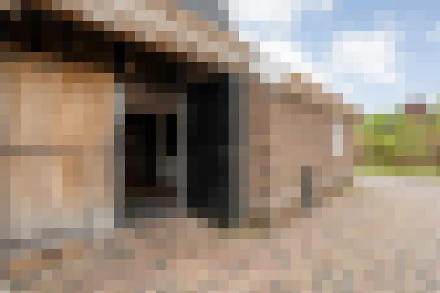 Verzetstraat 120 Vriezenveen thumbnail 53
