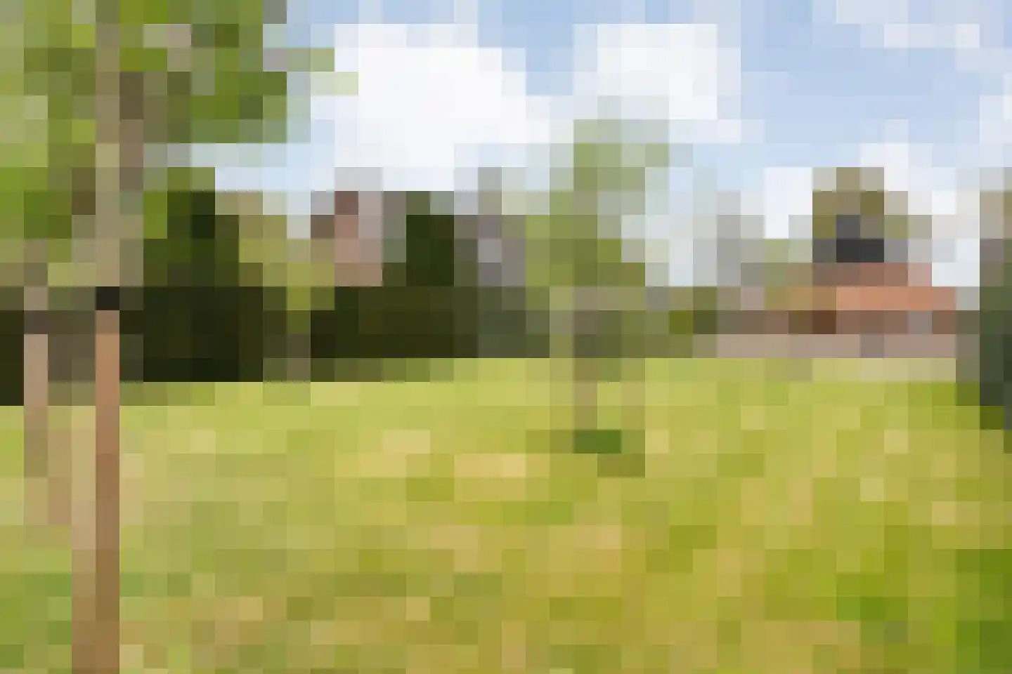 Verzetstraat 120 Vriezenveen thumbnail 57