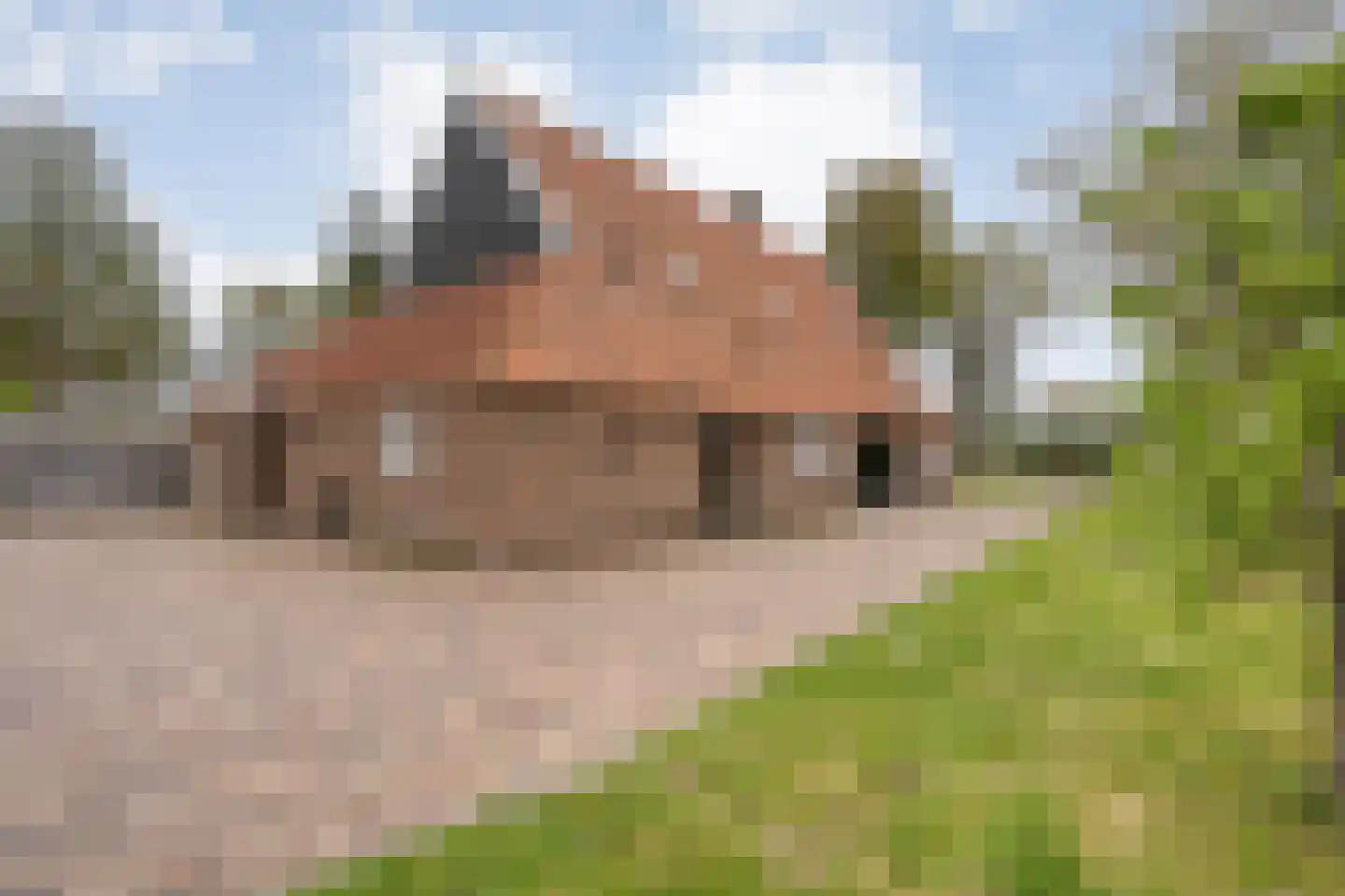 Verzetstraat 120 Vriezenveen thumbnail 63
