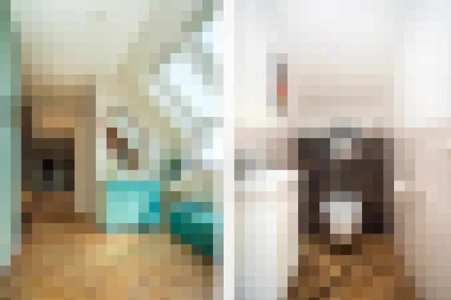 Verzetstraat 16 Den Burg thumbnail 10
