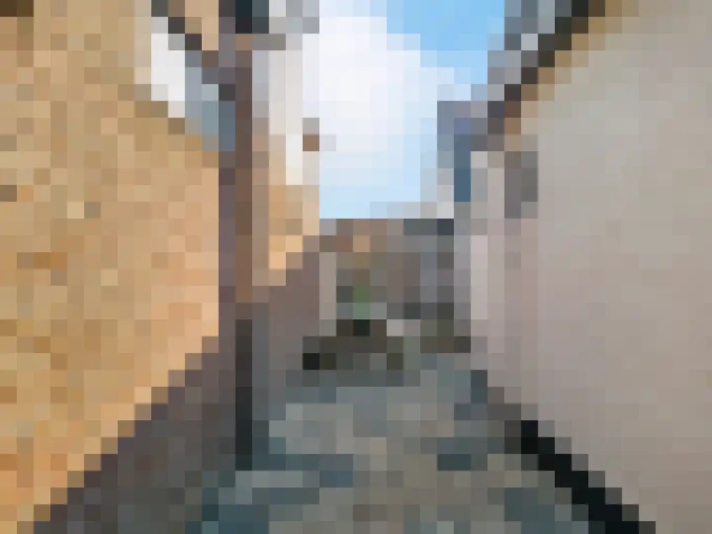 Verzetstraat 1940-1945 23 Uitgeest thumbnail 41