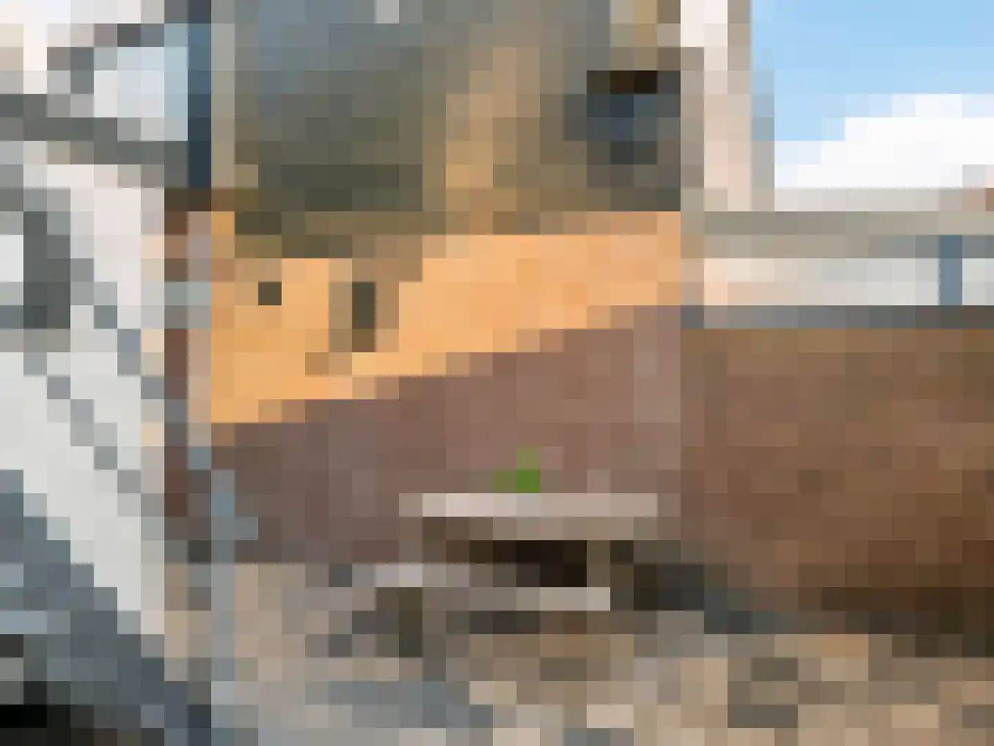 Verzetstraat 1940-1945 23 Uitgeest thumbnail 42