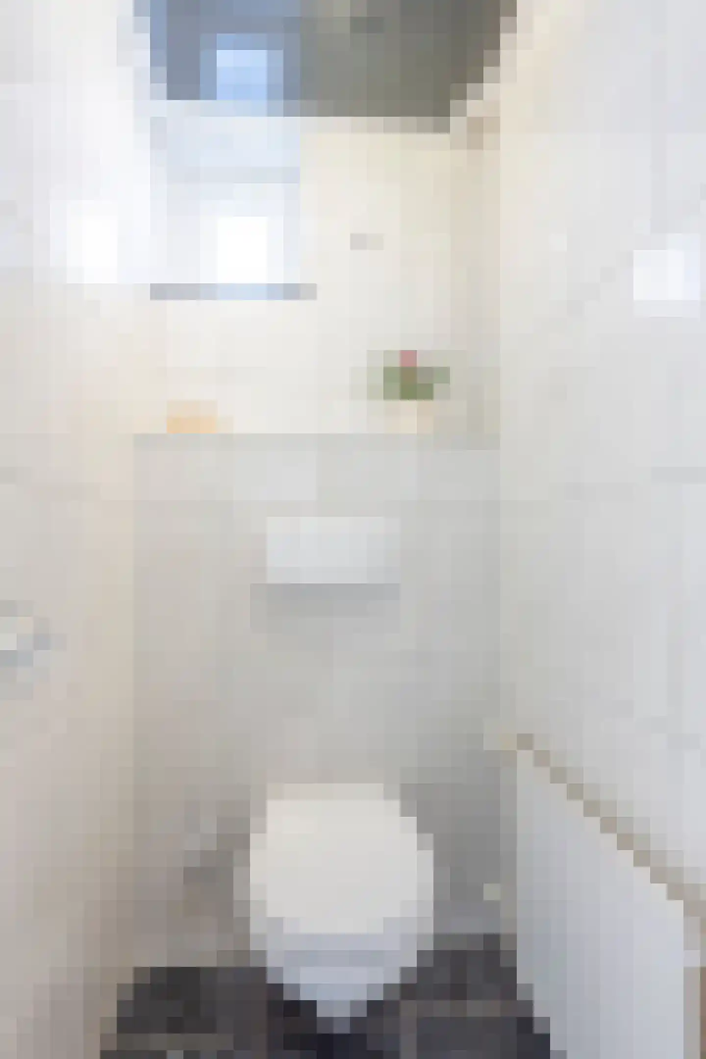 Verzetstraat 2 Simpelveld thumbnail 4