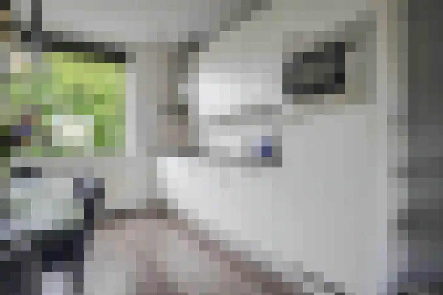 Verzetstraat 26 Bergschenhoek thumbnail 11