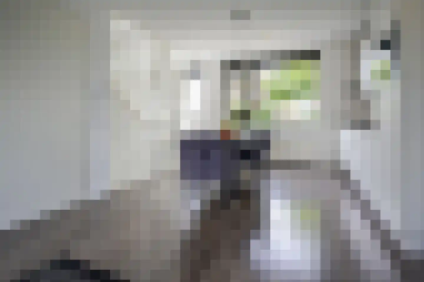 Verzetstraat 26 Bergschenhoek thumbnail 19