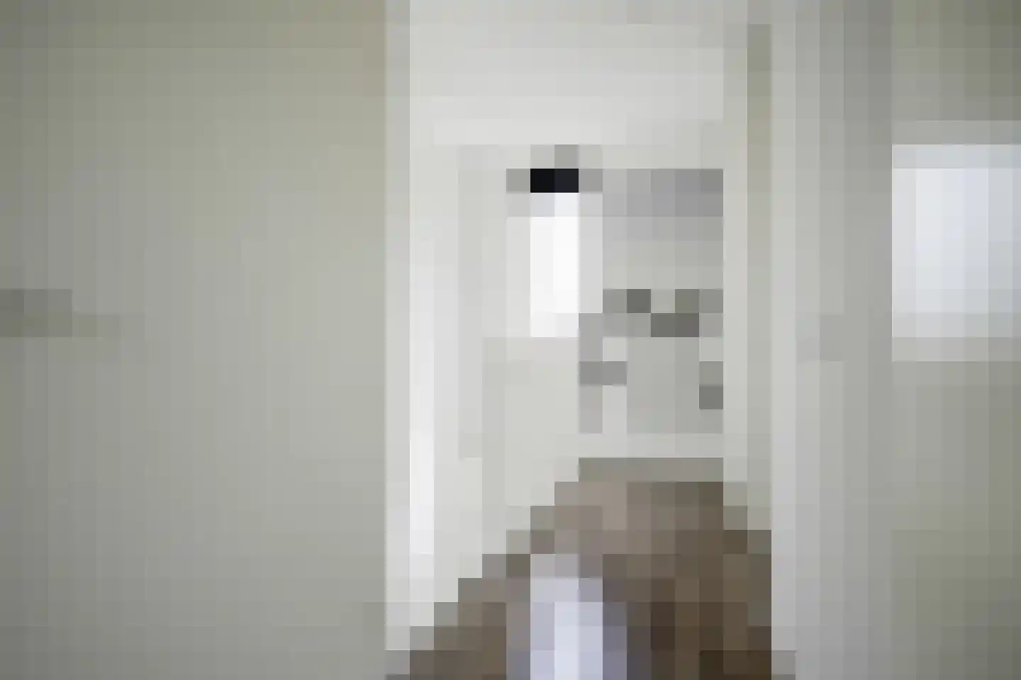 Verzetstraat 26 Bergschenhoek thumbnail 21