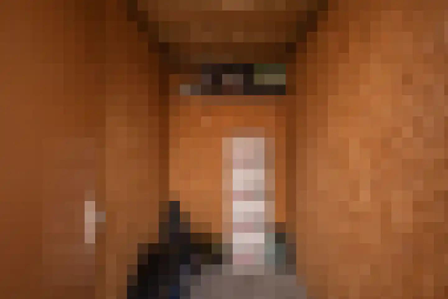 Verzetstraat 26 Bergschenhoek thumbnail 35