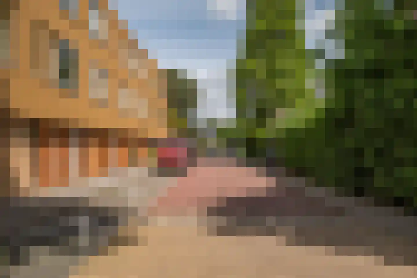 Verzetstraat 26 Bergschenhoek thumbnail 38