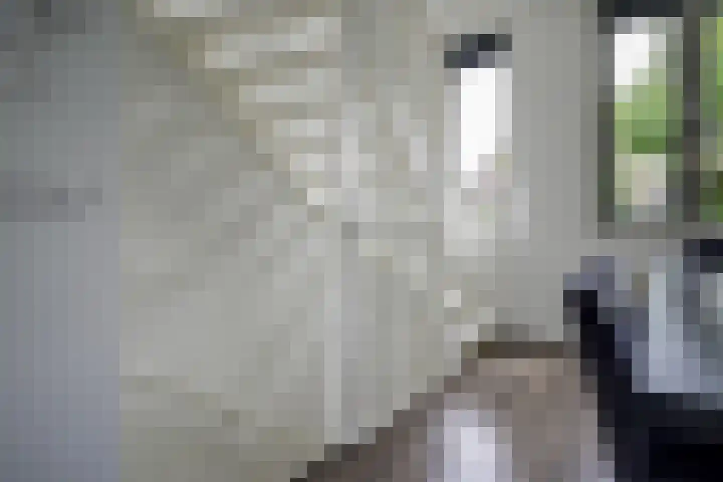 Verzetstraat 26 Bergschenhoek thumbnail 8