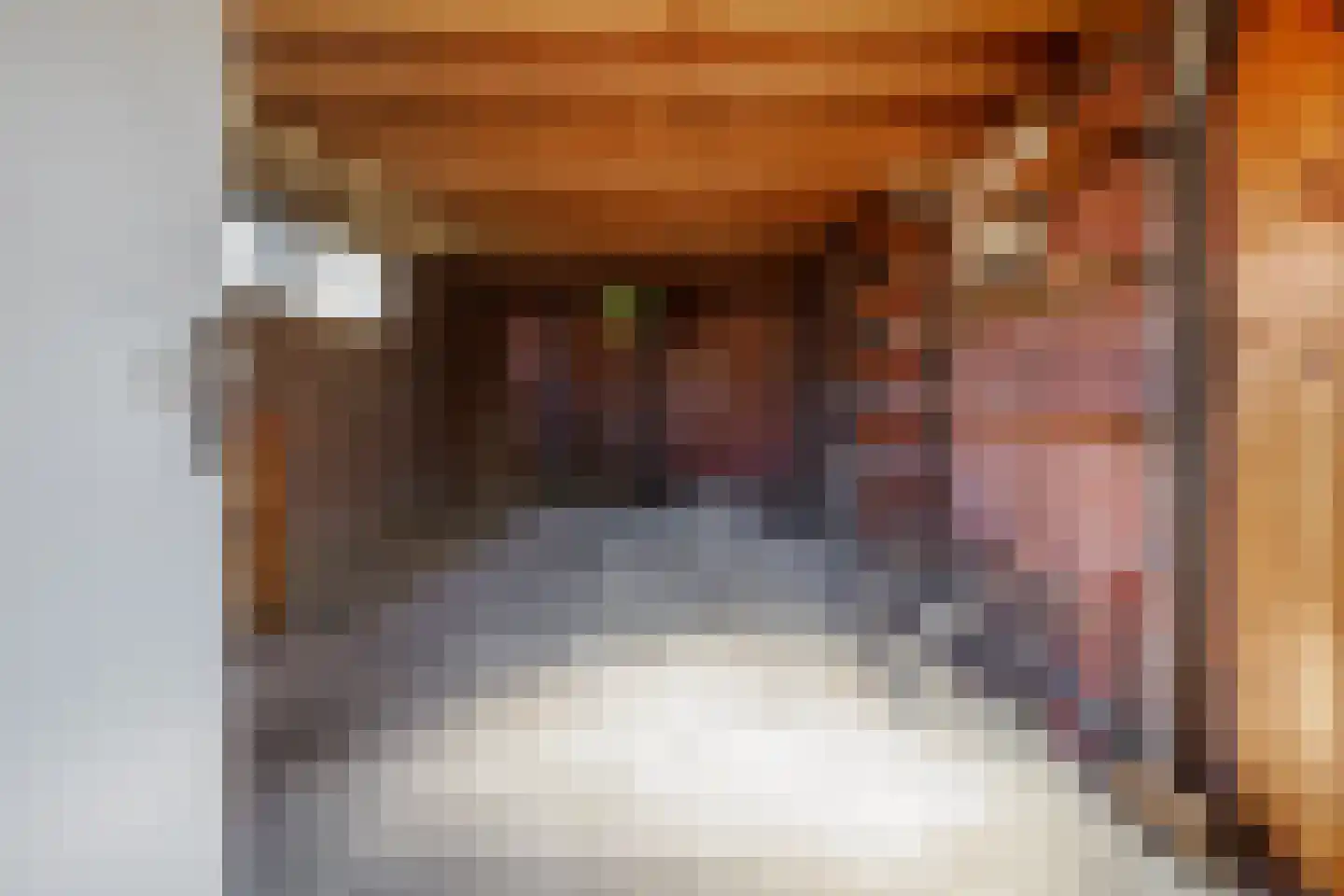 Verzetstraat 4 Vriezenveen thumbnail 37