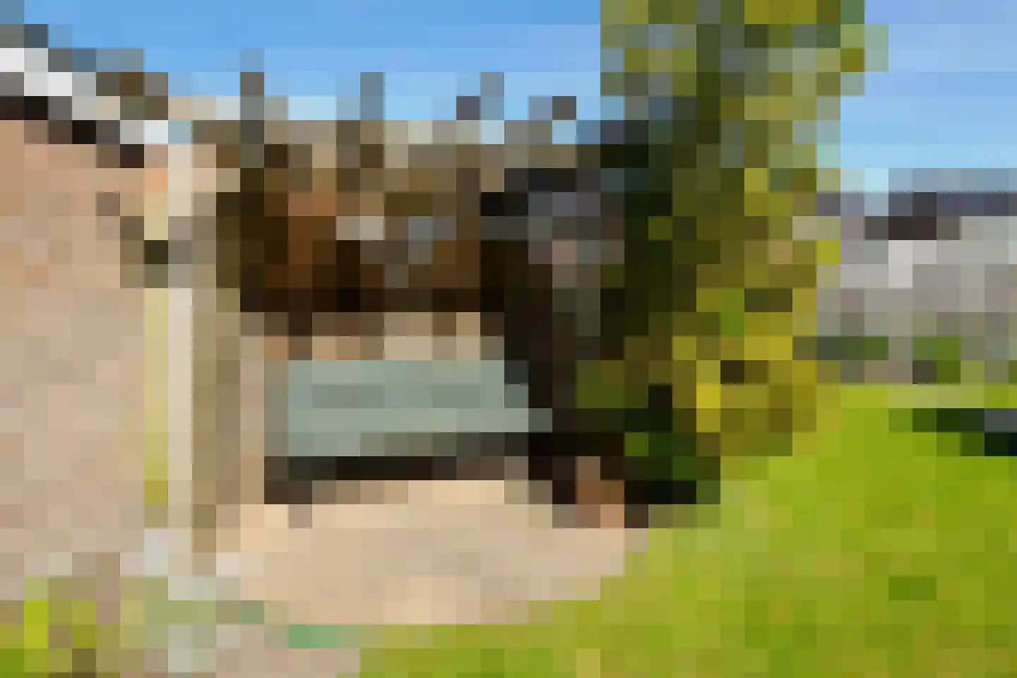 Verzetstraat 4 Vriezenveen thumbnail 39