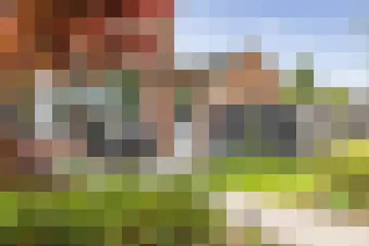 Verzetstraat 68 Holten thumbnail 33