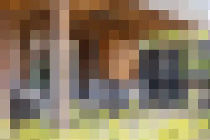 Verzetstraat 68 Holten thumbnail 35