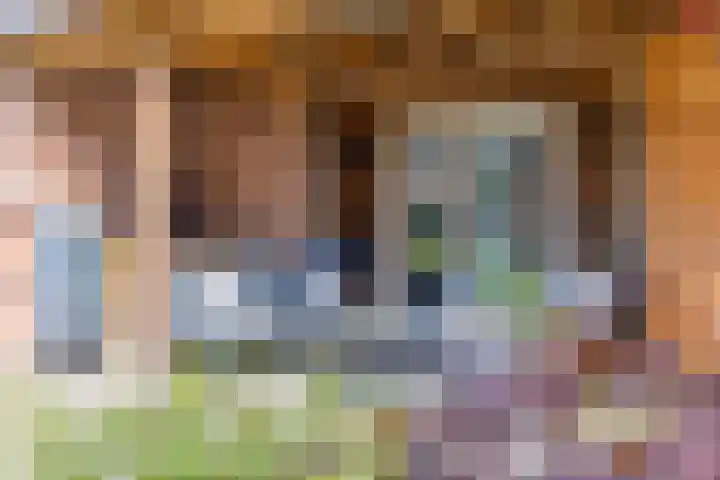 Verzetstraat 68 Holten thumbnail 36