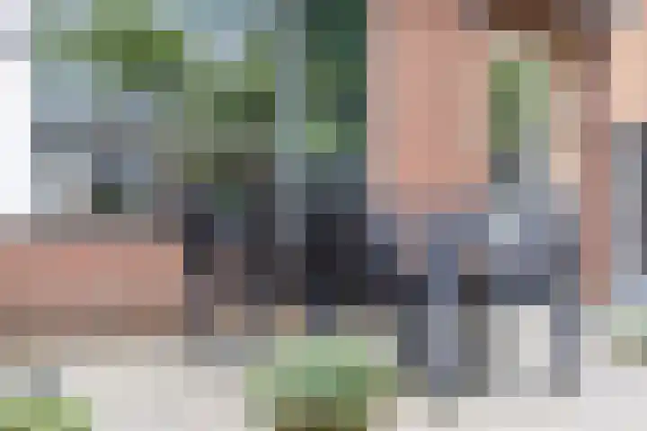 Verzetstraat 68 Holten thumbnail 37