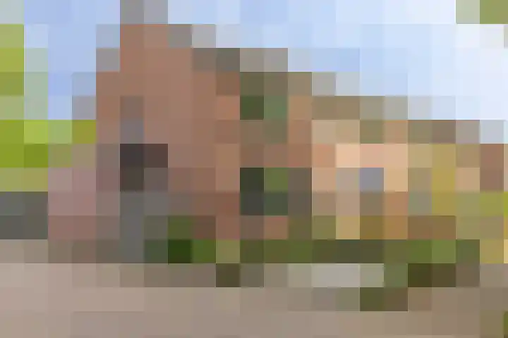 Verzetstraat 68 Holten thumbnail 45