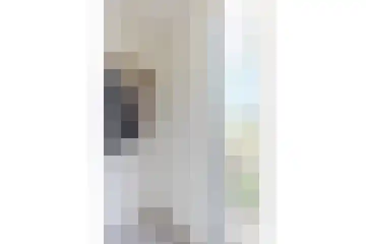 Verzetstraat 68 Holten thumbnail 5