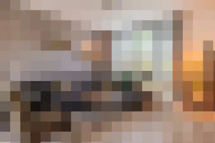 Verzetstraat 68 Holten thumbnail 6