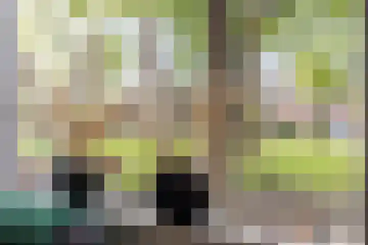 Verzetstraat 68 Holten thumbnail 9