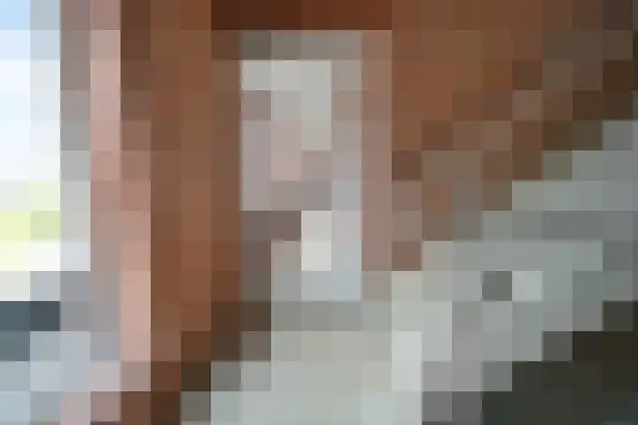 Verzetstraat 8 Den Burg thumbnail 10