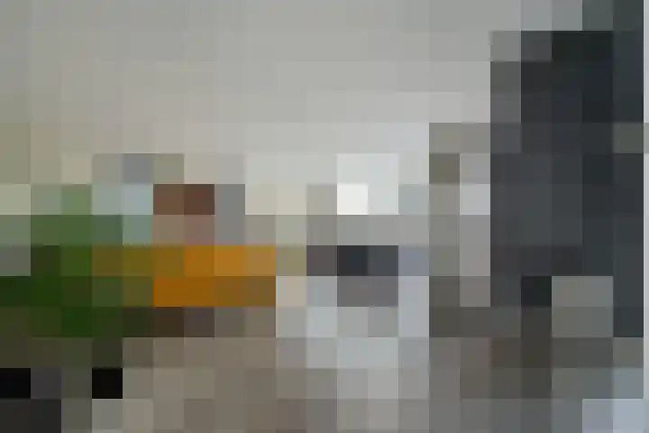 Verzetstraat 8 Den Burg thumbnail 20