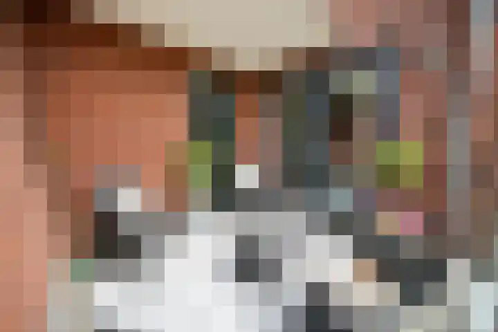 Verzetstraat 8 Den Burg thumbnail 24