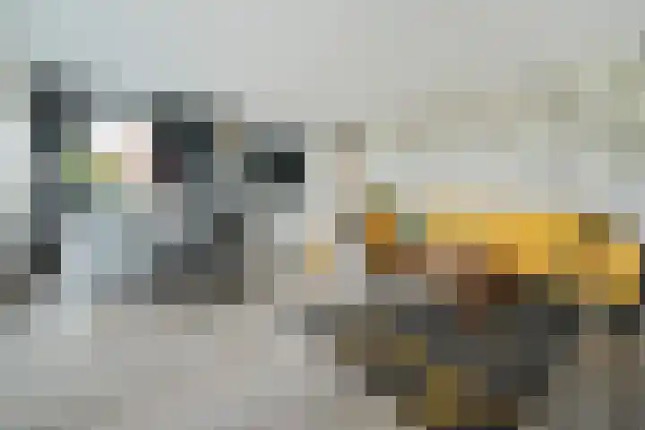 Verzetstraat 8 Den Burg thumbnail 4