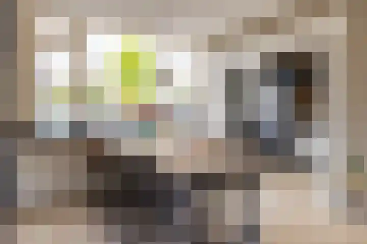 Verzetstraat 87 Holten thumbnail 14