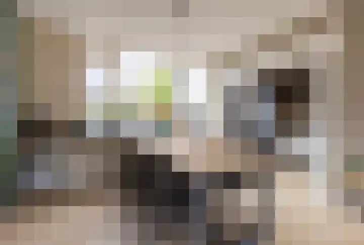 Verzetstraat 87 Holten thumbnail 15
