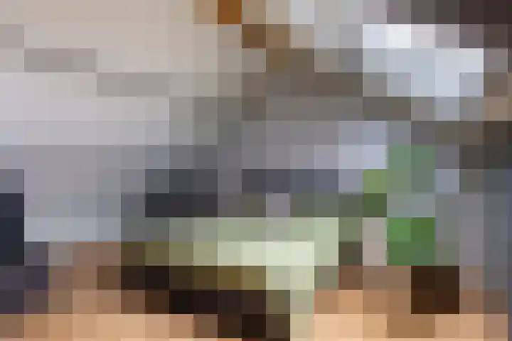 Verzetstraat 87 Holten thumbnail 30