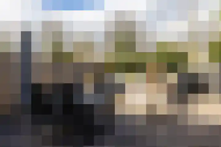 Verzetstraat 87 Holten thumbnail 35