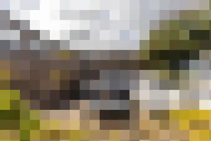 Verzetstraat 87 Holten thumbnail 36