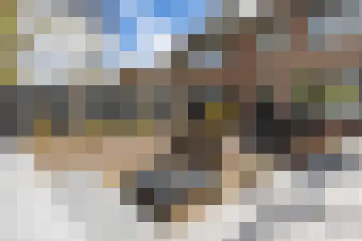 Verzetstraat 87 Holten thumbnail 37