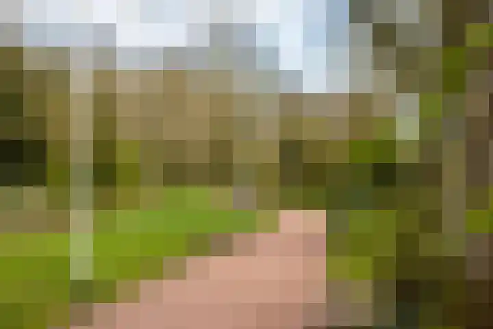 Verzetstraat 87 Holten thumbnail 49