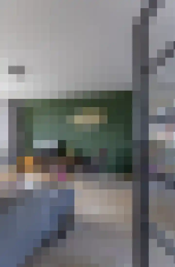 Verzetstraat 87 Holten thumbnail 6