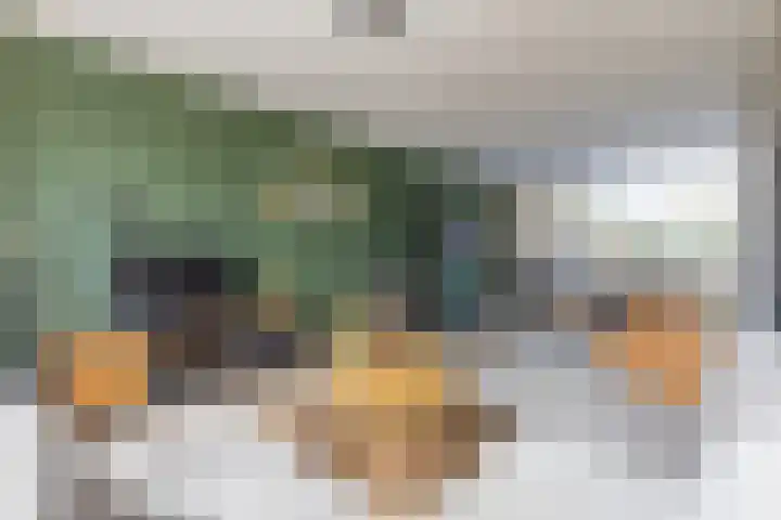 Verzetstraat 87 Holten thumbnail 8