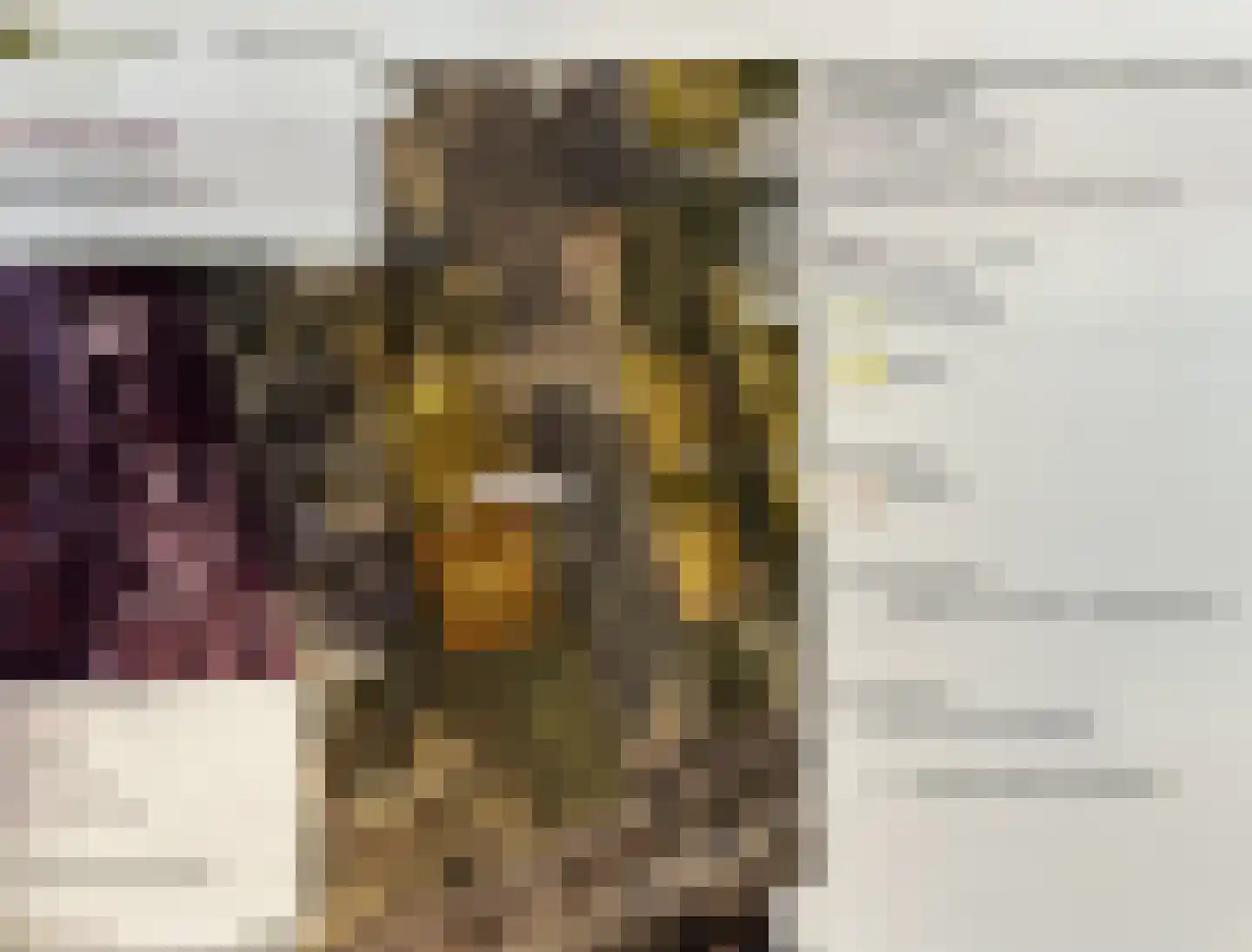 Verzetstraat Vriezenveen thumbnail 8
