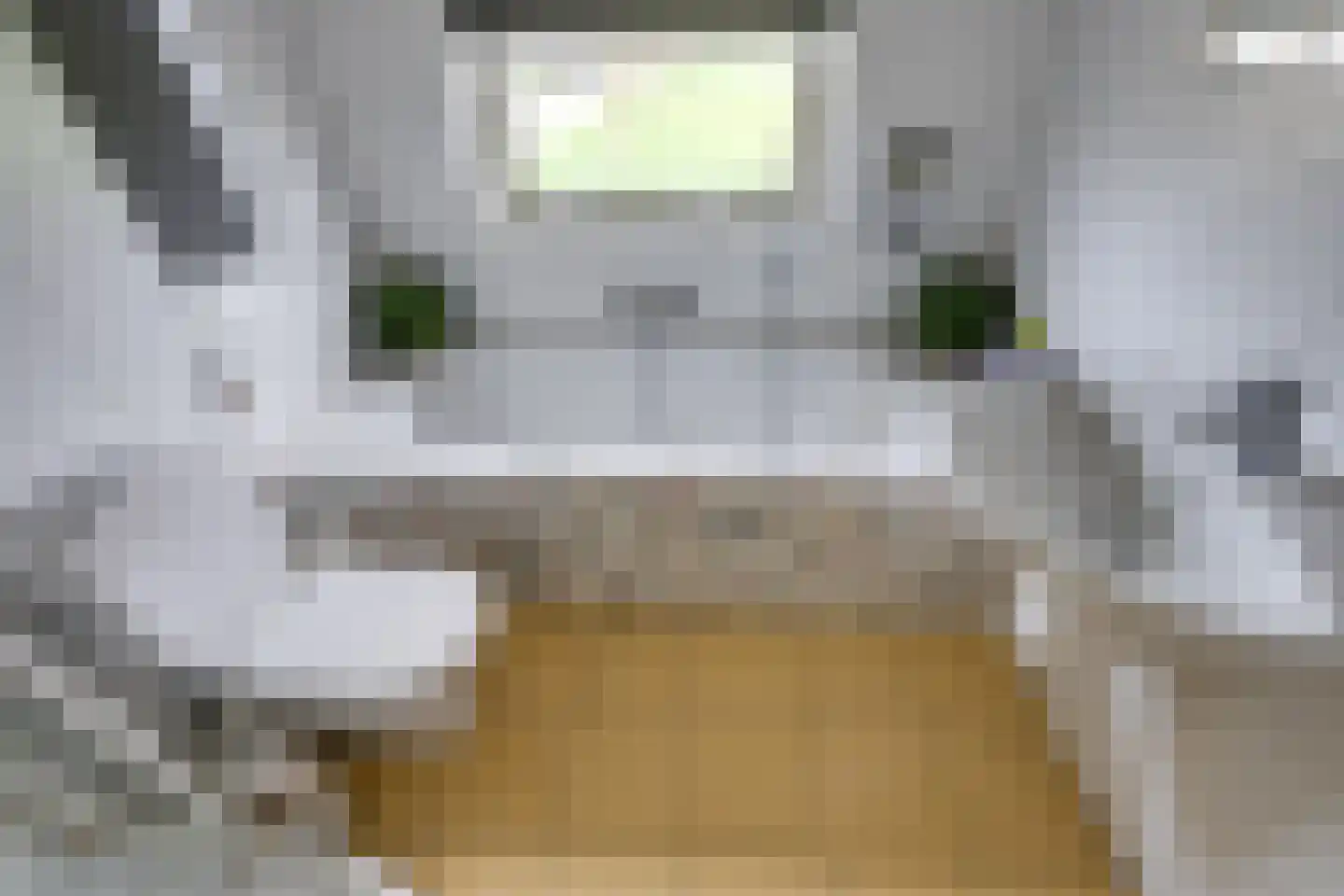 Verzonken Kasteel 70 Udenhout thumbnail 29