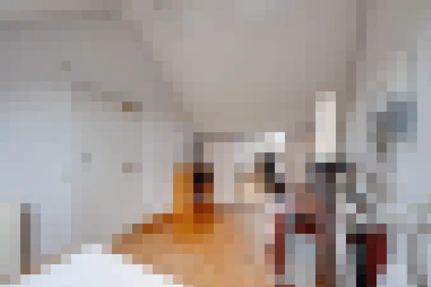 Verzonken Kasteel 70 Udenhout thumbnail 33