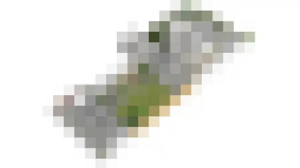 Verzonken Kasteel 70 Udenhout thumbnail 56
