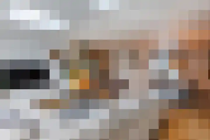 Verzonken Kasteel 74 Udenhout thumbnail 10