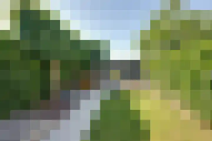 Verzonken Kasteel 84 Udenhout thumbnail 35