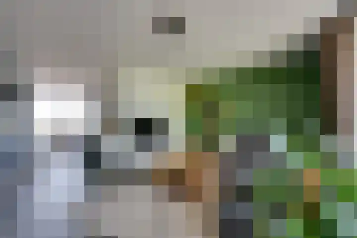 Verzonken Kasteel 84 Udenhout thumbnail 5