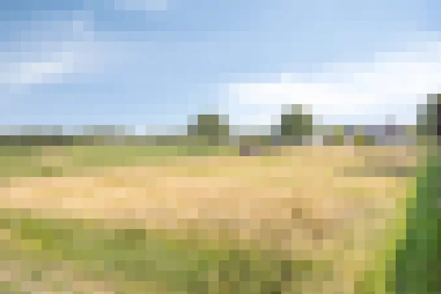 Vesaliuslaan Venray thumbnail 5